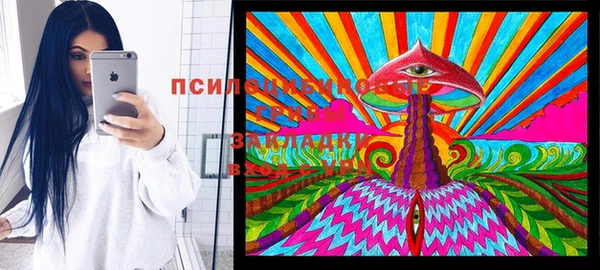 крисы Иннополис