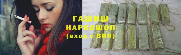 мет Инта