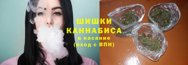 мет Инта