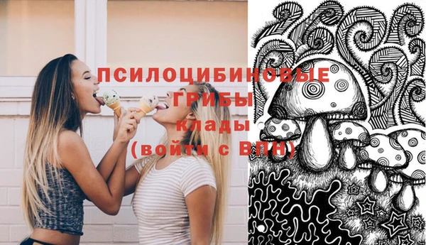 мет Инта