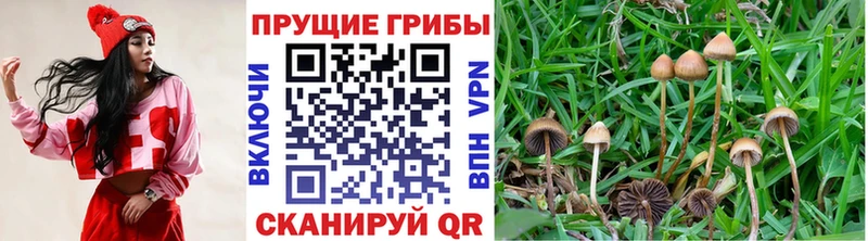 mega вход Арзамас Галлюциногенные грибы MAGIC MUSHROOMS